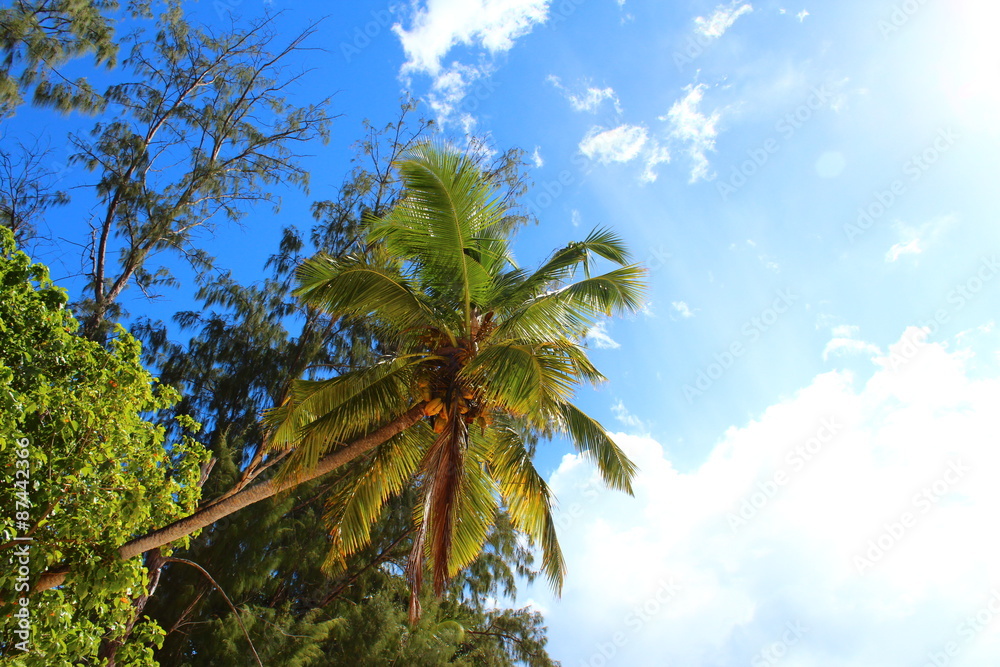 Fototapeta premium Seychellen La Dique - Blick auf Praslin 
