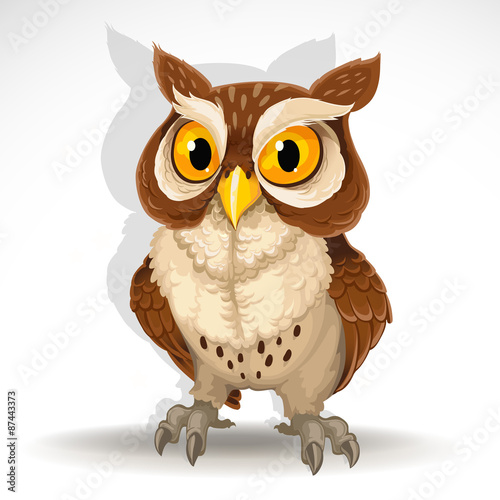 Cute owl isolated on white background