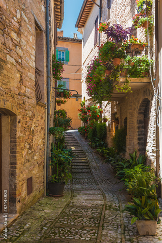 Italian streets overgrown with dense green vegetation in Tuscany © Jarek Pawlak