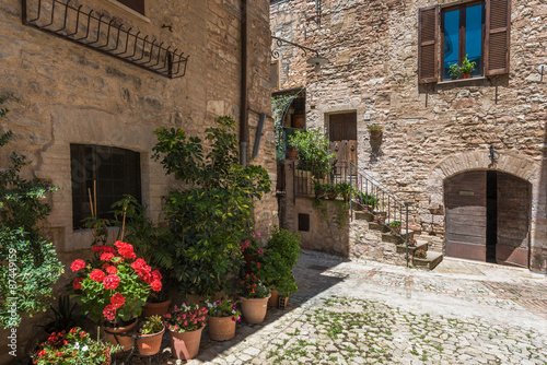 Solar hot Italian town streets with flowers and beautiful greene