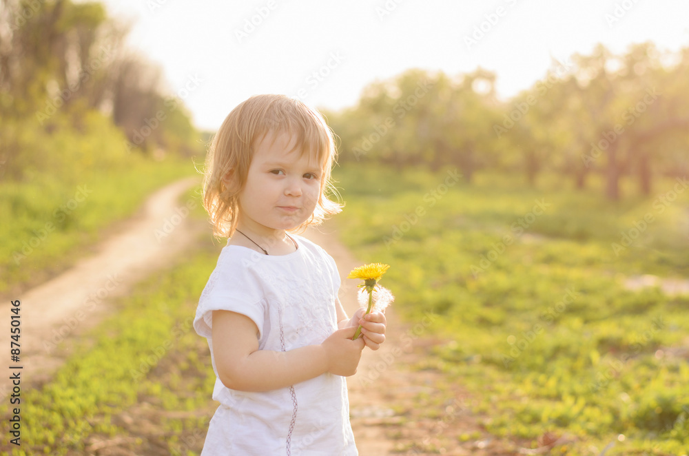 kid and dandelions in sunlight kid and dandelions in sunlight