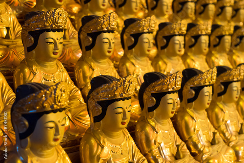 Buddhas of Bongeunsa Temple (奉恩寺ブッダ像) in Seoul, South Korea 