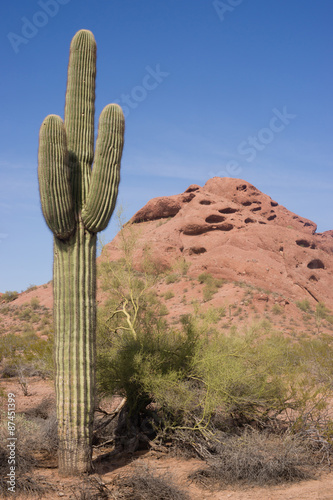 Arizona Desert Landscape Red Rocks Cactus Arid Landscape