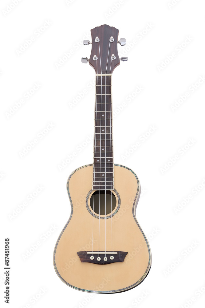 The image of a guitar