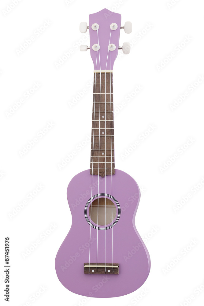 Fototapeta premium The image of a guitar