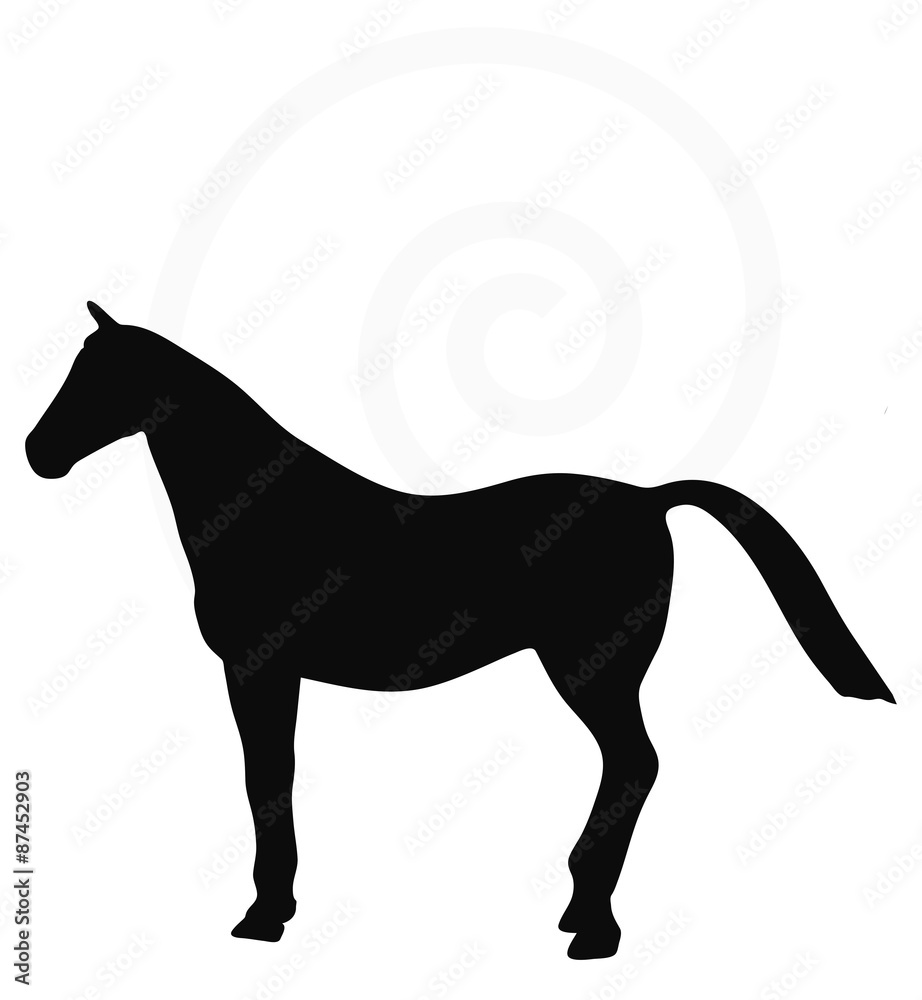 Fototapeta premium horse silhouette isolated on white