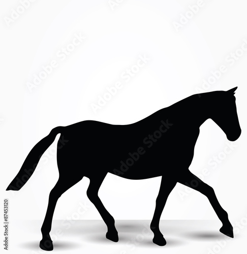 horse silhouette in parade walk pose