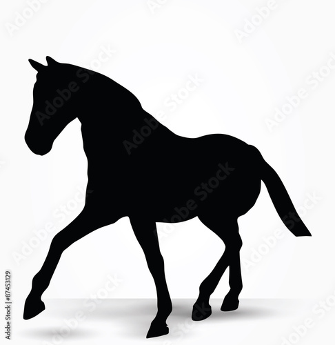 horse silhouette in parade walk pose