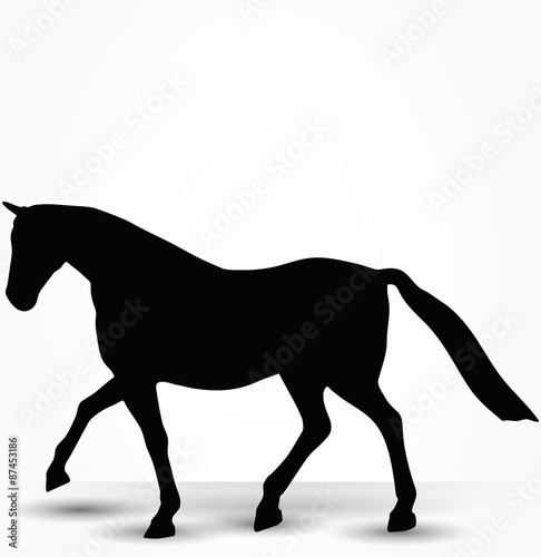 horse silhouette in parade walk pose