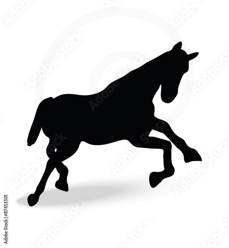 horse silhouette in running pose