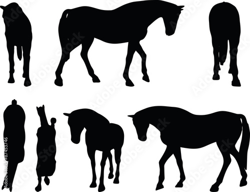 horse silhouette in walking head down