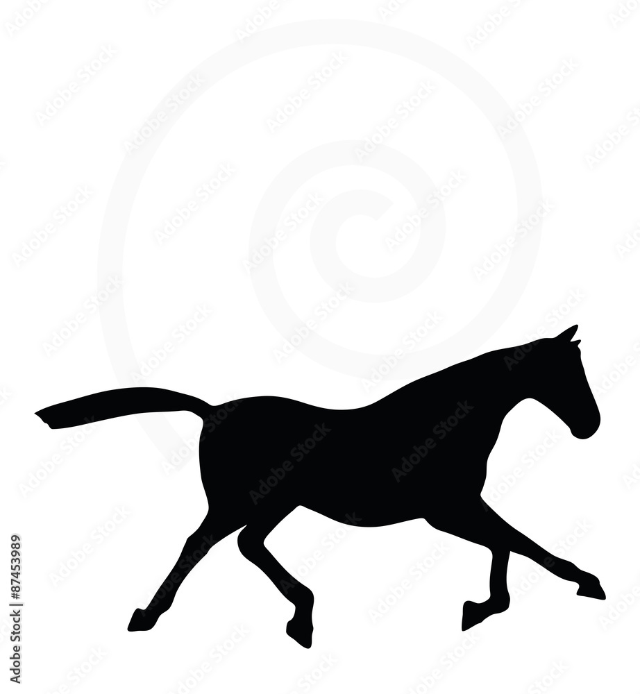 Fototapeta premium horse silhouette in fast trot pose