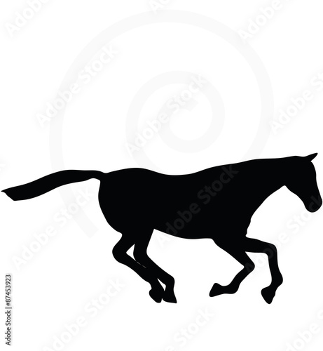 Canvas-taulu horse silhouette in gallop pose