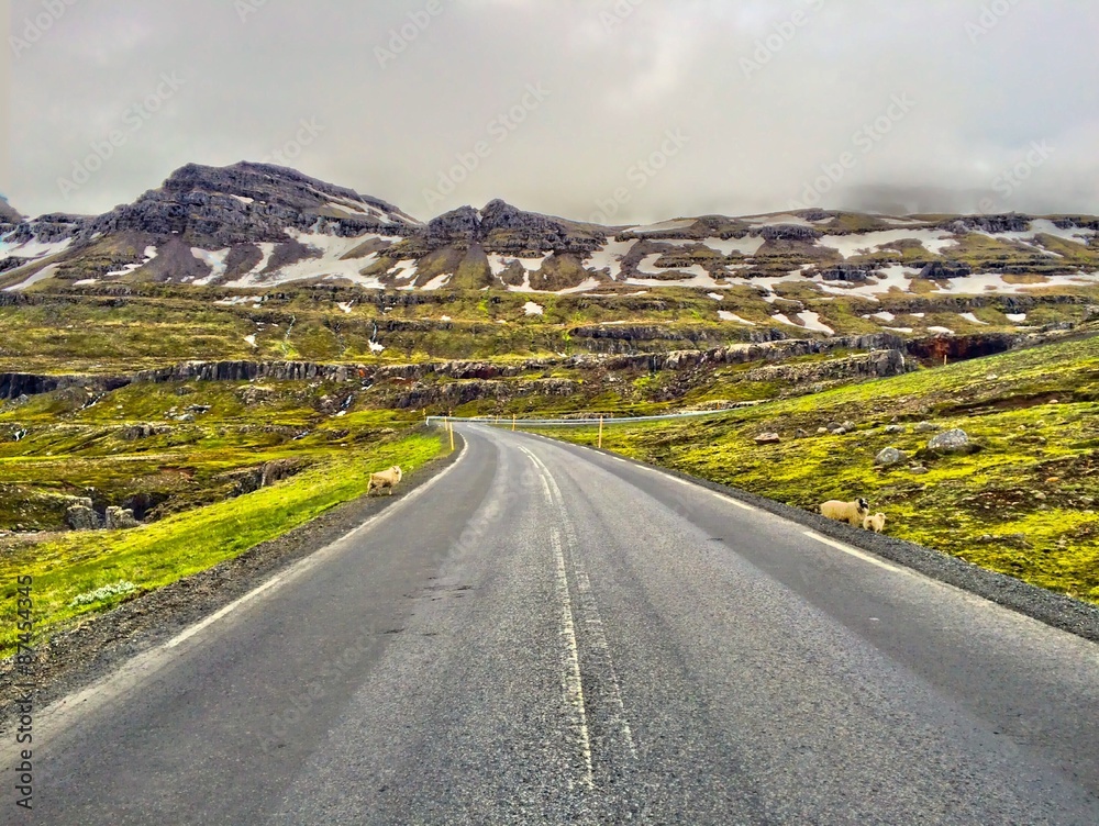 Naklejka premium Strasse in Island mit Schafen