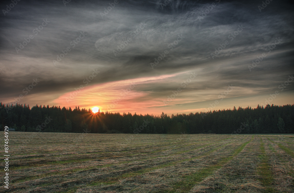 Sunrise, summer morning , meadow with cut grass,forest a colour sky Sunrise, summer morning , meadow with cut grass,forest a colour sky