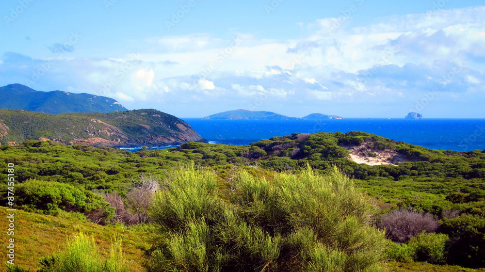 Naklejka premium Wilson Promontary