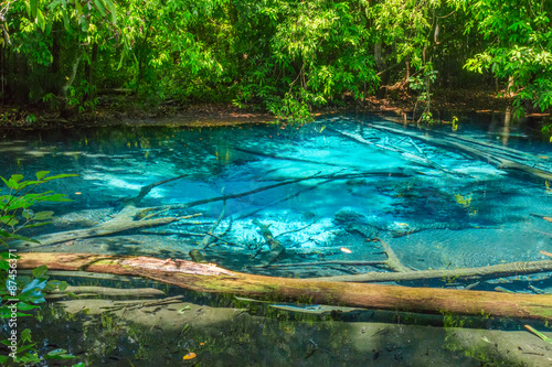 Fototapeta Naklejka Na Ścianę i Meble -  The Blue pool in the forest