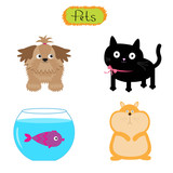 Vector pets illustration isolated Cute set White background Cat, dog, fish, hamster Flat design