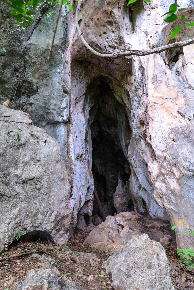 Cave entrance in deep forest.