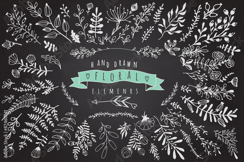 Big collection of different hand drawn floral elements on chalkb