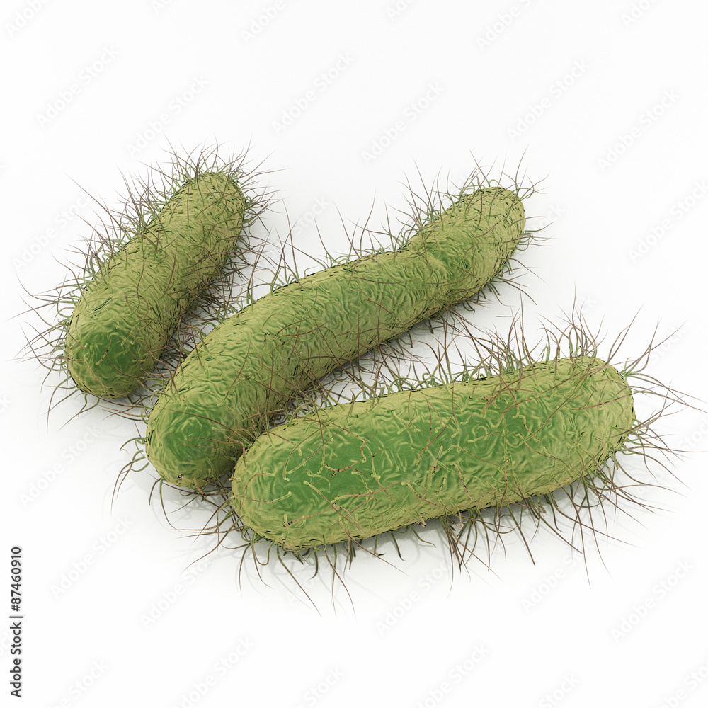 E. Coli Bacteria An illustration of Escherichia coli