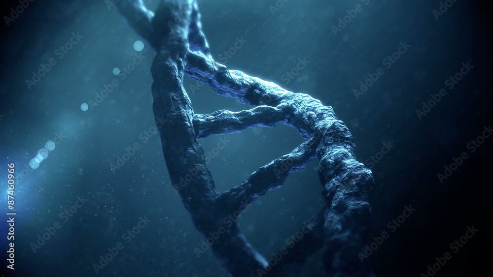 Dna helix