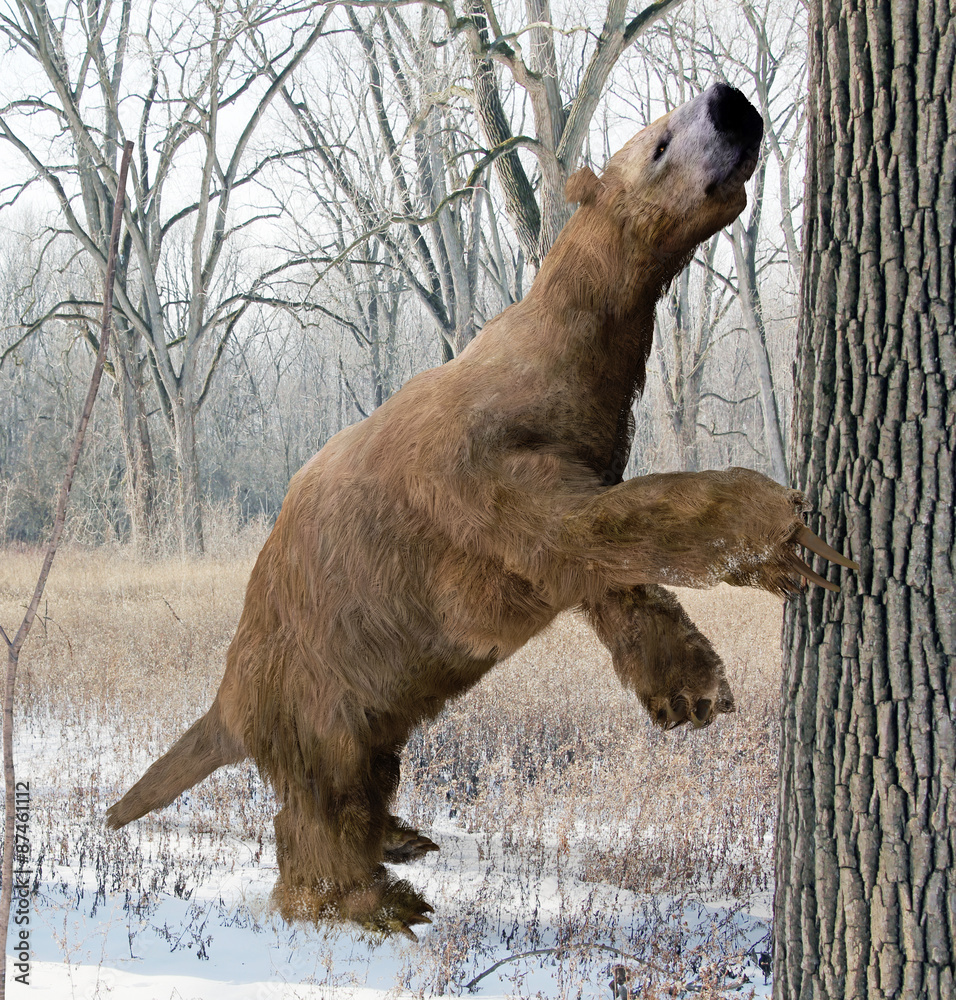 An illustration of the extinct giant ground sloth Megalonyx searching a