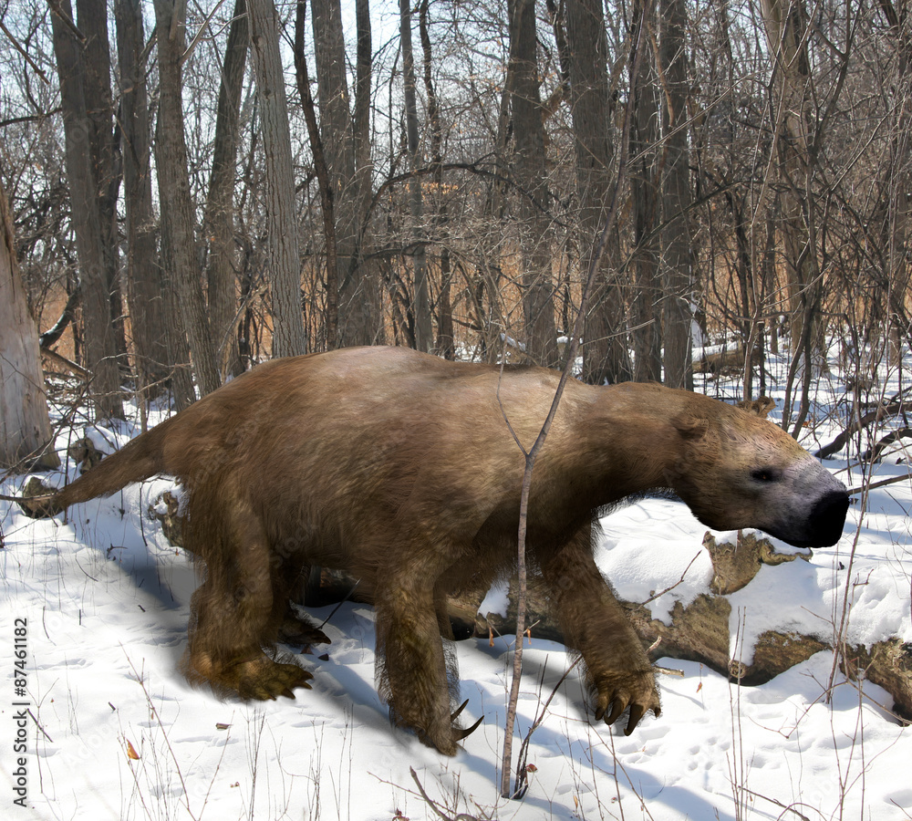 Stockillustratie An illustration of the extinct giant ground sloth