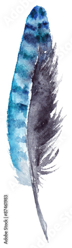 Wallpaper Mural Watercolor blue jay feather black blue vector isolated Torontodigital.ca