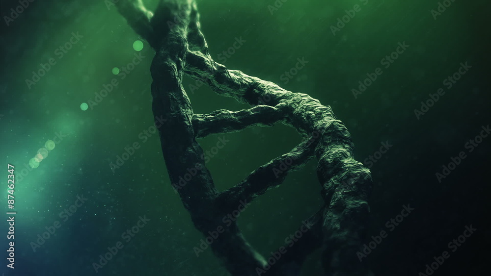 Dna helix 