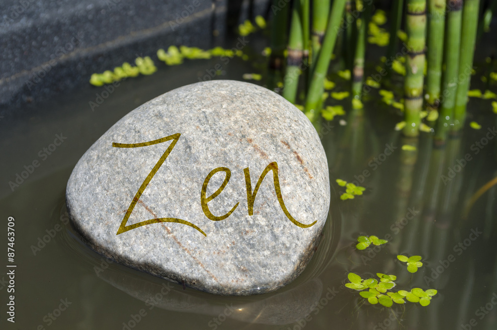 Stein in Wasser mit Om, Yoga, Tai Chi, Qi gong, ZEN, Feng Shui mit  Wasserlinsen und Schachtelhalm foto de Stock | Adobe Stock