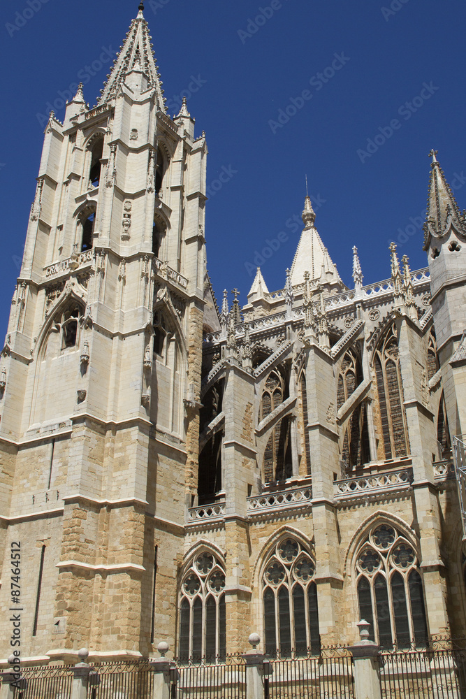 Detail on the Cathedral showing it's gothic style and flying buttresses.Leon,Spain