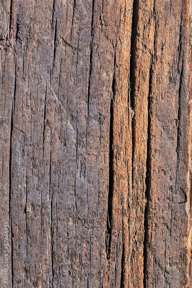 Old Weathered Cracked Rotten Wooden Railway Sleeper Coarse Surface, with Lichen and Fungi Growth. Old Weathered Cracked Rotten Wooden Railway Sleeper Coarse Surface, with Lichen and Fungi Growth.