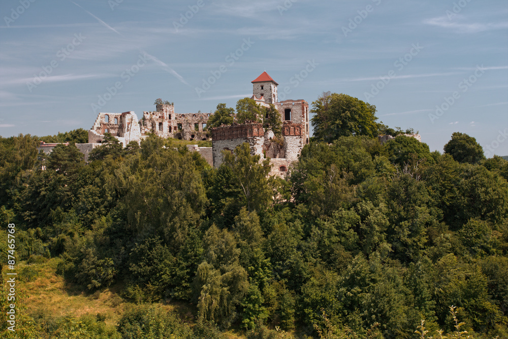 Zamek W Tenczynku - Jura Krakowsko-Częstochowska - Krajobraz