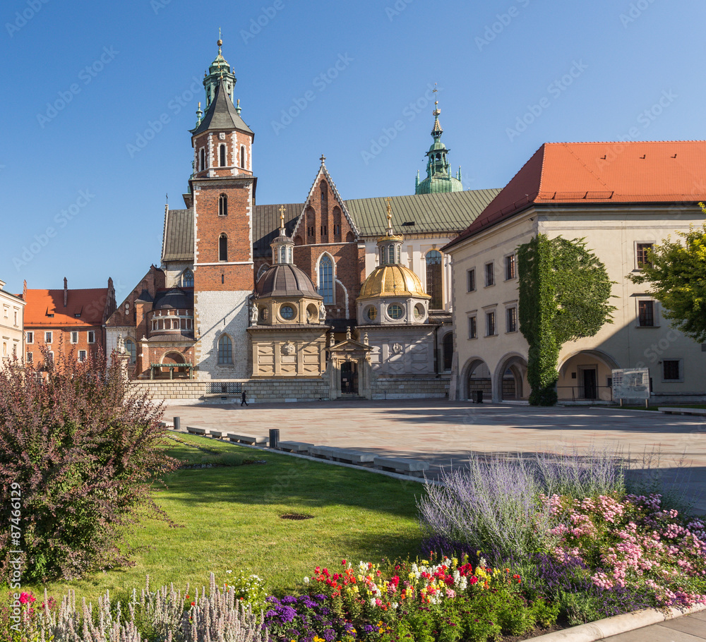 Obraz premium Cracow - Castle