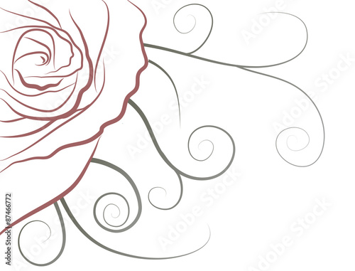 Rose background