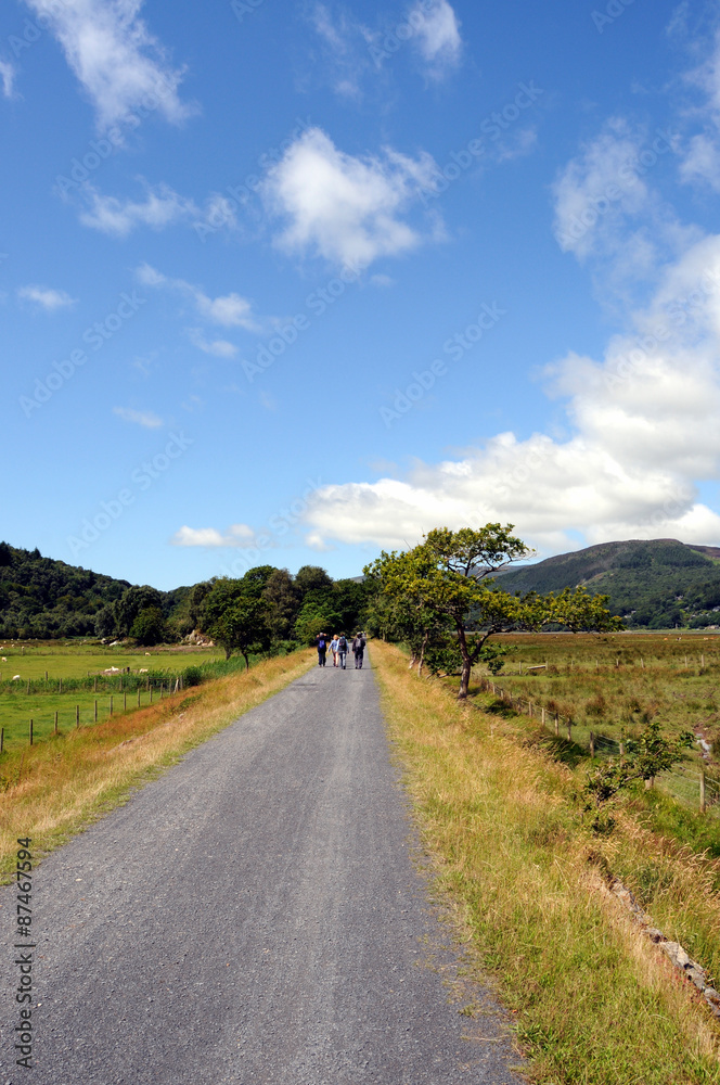 The Mawddach Trail near Dolgellau in Snowdonia.