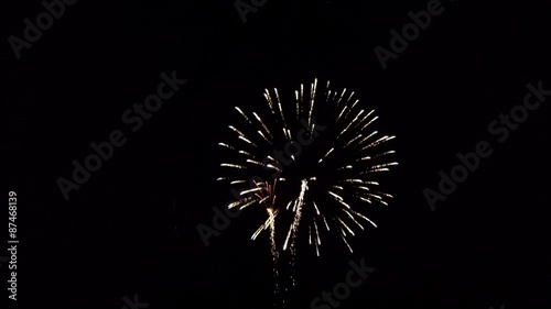 Canvas Print 2015 Fireworks 1