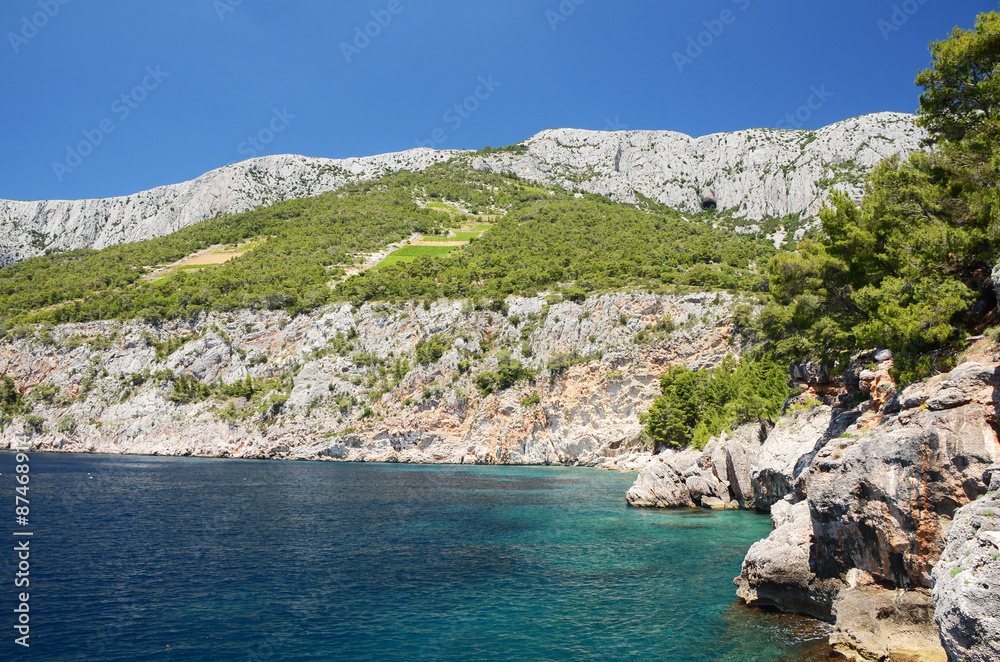 Coast with vineyards above, Hvar, Dalmatia, Croatia