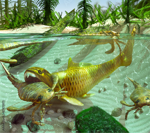 An illustration depicting a cycle of life in a lake during Devonian Period (419 to 358 million years ago). The small Trilobites are preyed upon by the Eurypterids, who are eaten by the Dunkleosteus. photo