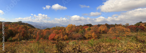 View from Max Patch Bald Road Panorama