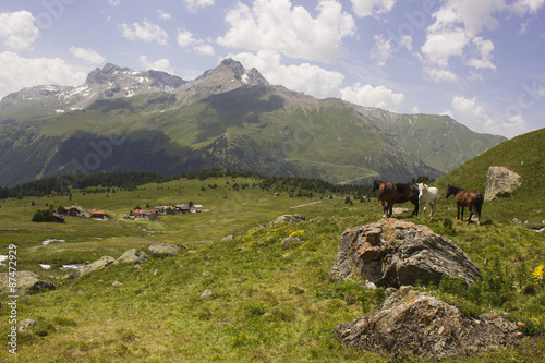 Alp Flix – Wandern in den Alpen