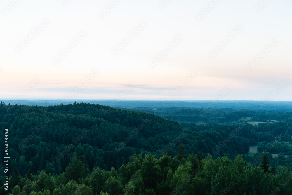 Fototapeta premium Dramatic sunrise over dark forest