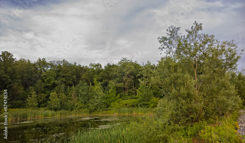 Marsh