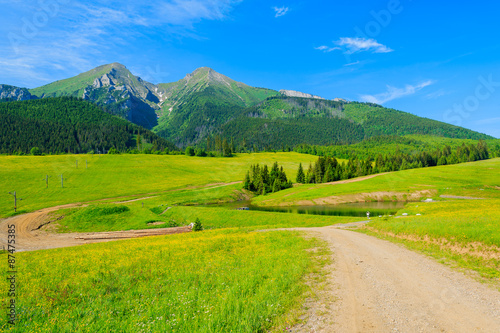 Road in green valley in summer landscape of Tatra Mountains, Slovakia