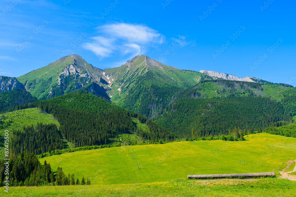 View of mountain peaks and green meadow in summer landscape of Tatra Mountains, Slovakia