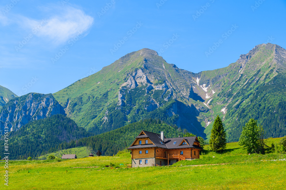 Wooden house on green meadow with Tatry Bielskie Mountains in background in summer, Slovakia
