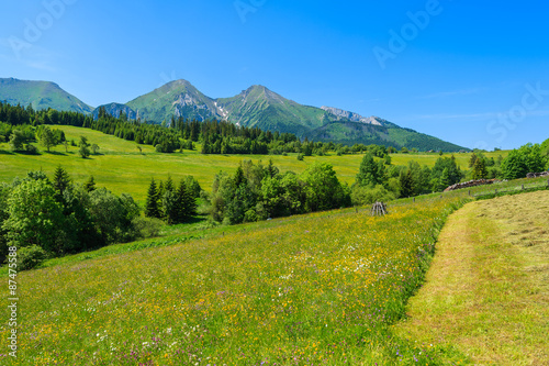 Farming field in green summer landscape of Tatra Mountains  Slovakia