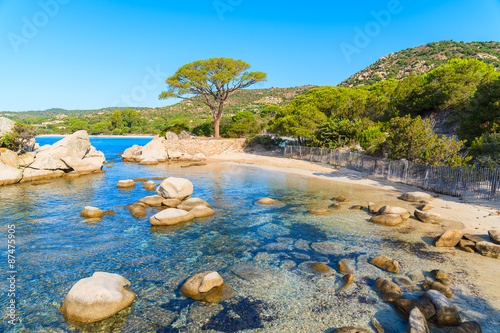 Famous Palombaggia beach with green pine tree, Corsica island, France