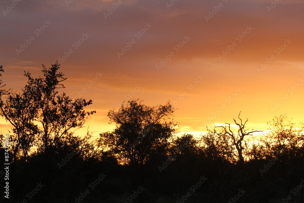 Sunset Sunset
